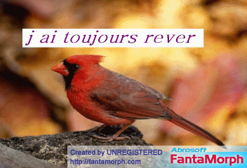 j espere  retrouver kelk1